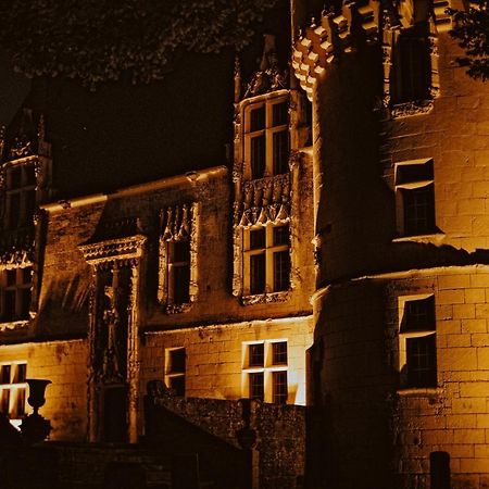 Chateau De Crazannes Bagian luar foto