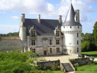 Chateau De Crazannes Bagian luar foto