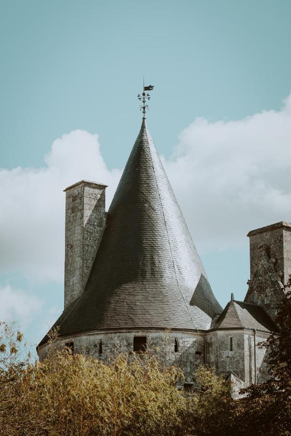Chateau De Crazannes Bagian luar foto