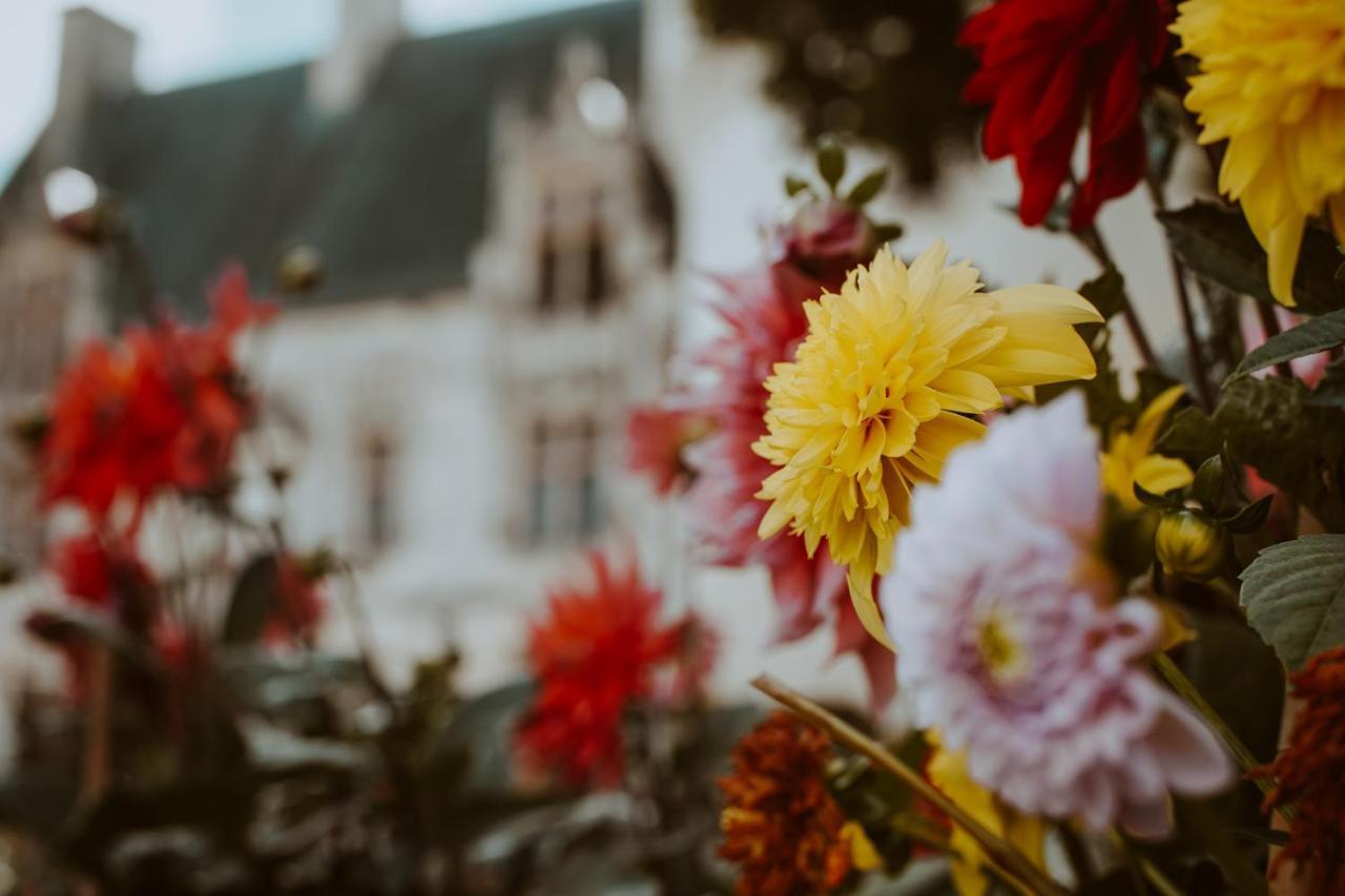 Chateau De Crazannes Bagian luar foto